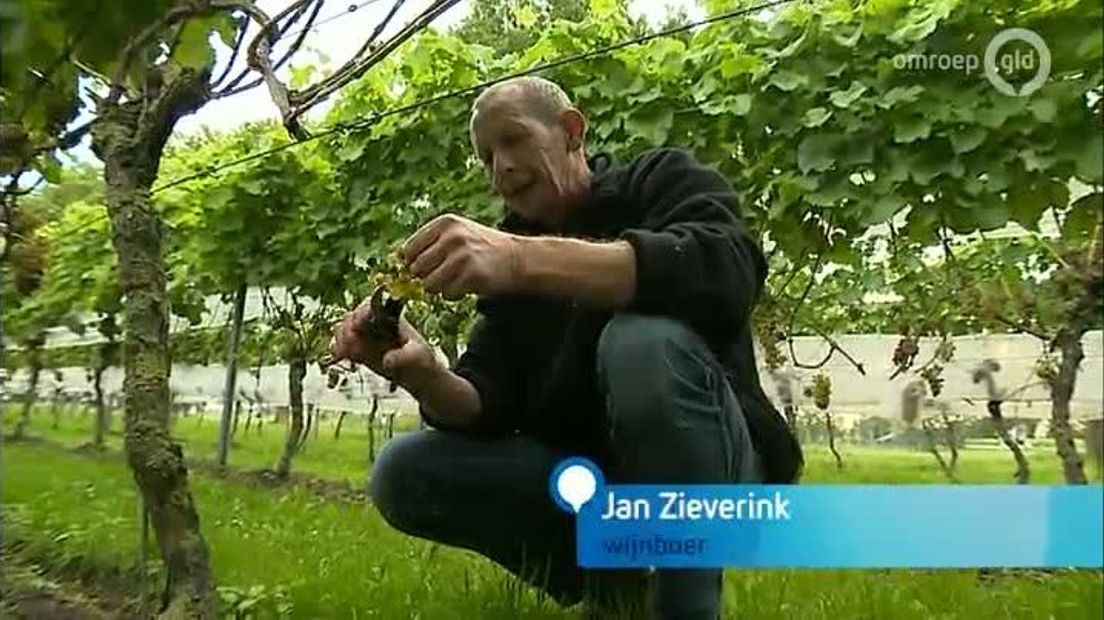 GLD Nieuws