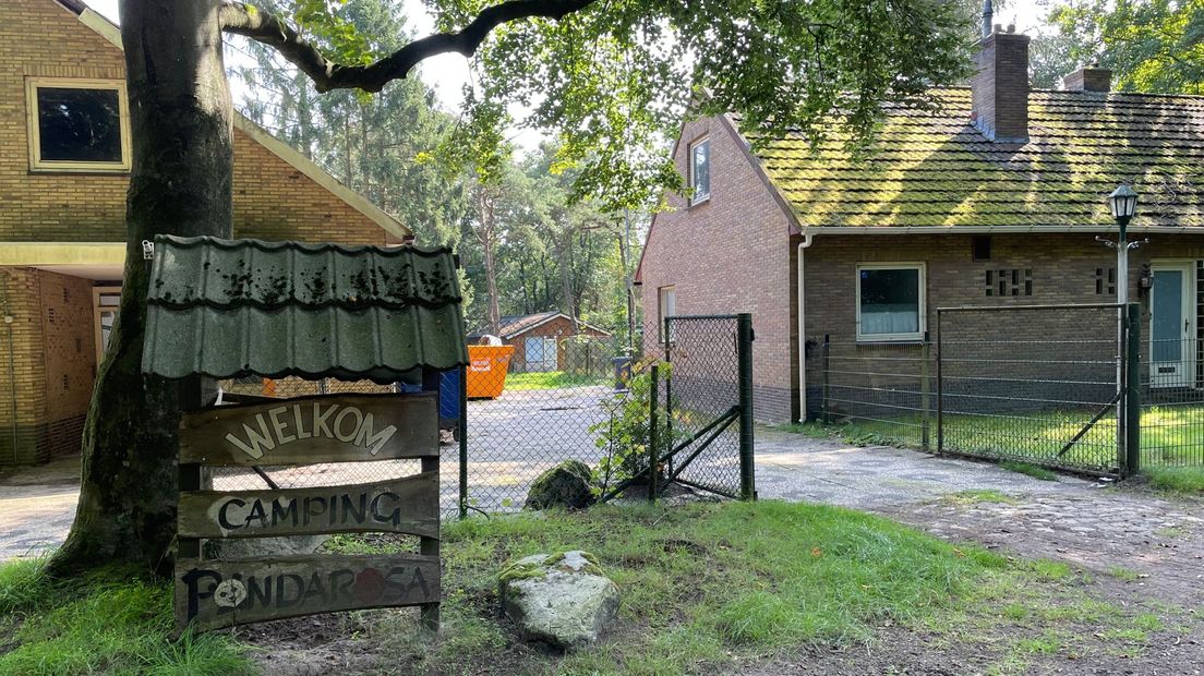 Panda Rosa in Steenbergen
