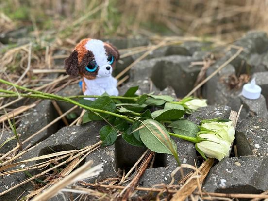 Overleden baby lag mogelijk al een aantal weken in het water