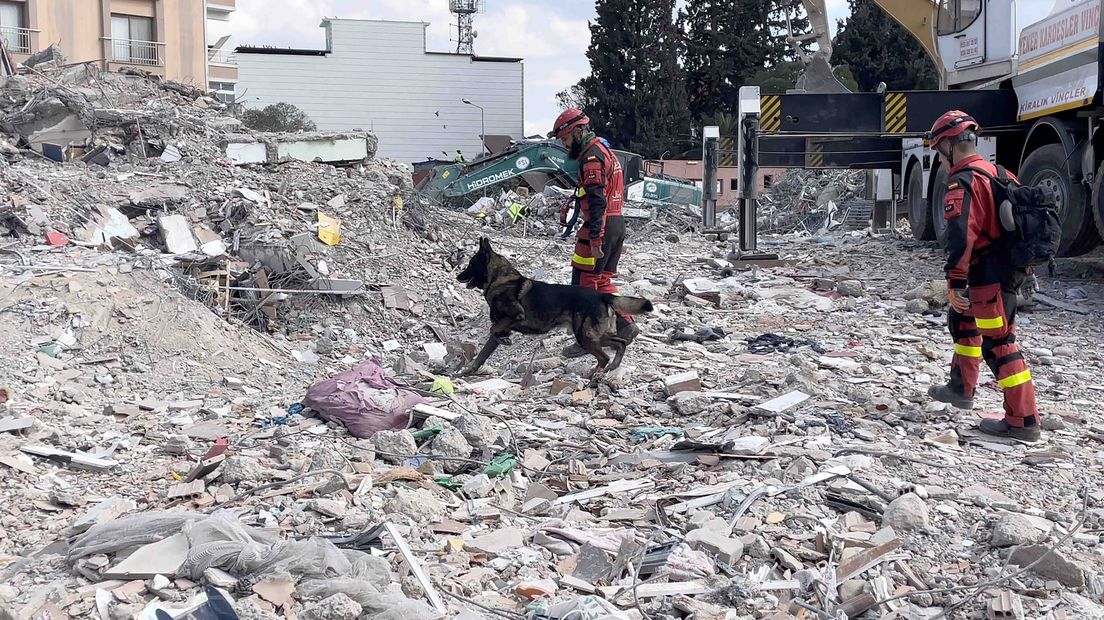 Met honden wordt gezocht tussen het puin (foto ter illustratie)
