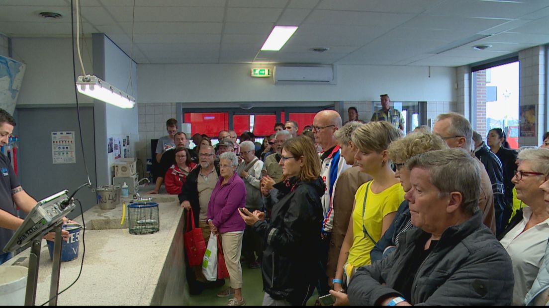 1200 mosselfans in de rij voor eerste fandag