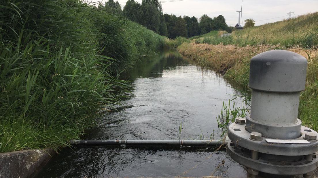 'Zoet water is echt hot, zeker nu het steeds droger wordt'