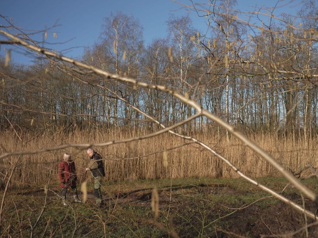 Een stukje Lauwersmeer in Diepstroeten
