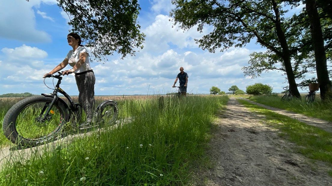 Dwingelderveld fietsen