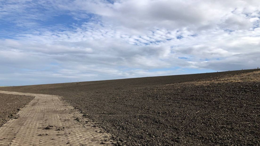 De klei van de proefdijk is gewonnen uit baggerslib uit de Dollard