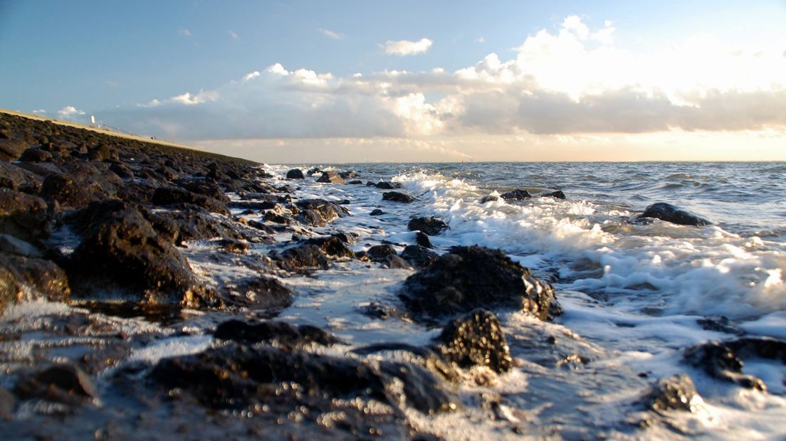 Oosterschelde bij Sint Maartensdijk