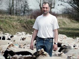 Ode aan de Rotterdammer - Kleuren - Martin Oosthoek