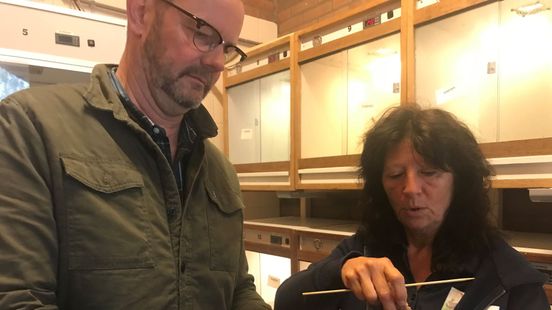 Dichte poort en een wattenstaafje in de cloaca: Vogelopvang Soest wil vogelgriep buitenhouden