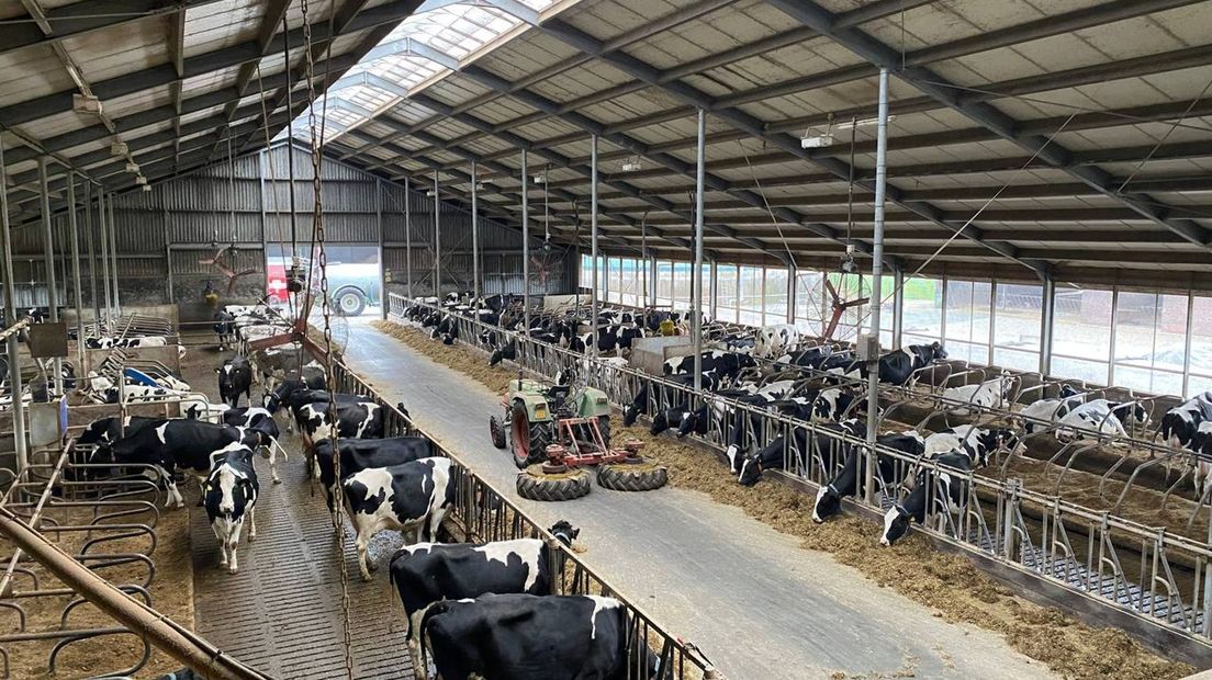 De agrarische sector zal de gevolgen van de 'verbouwing van Overijssel' flink gaan merken de komende jaren