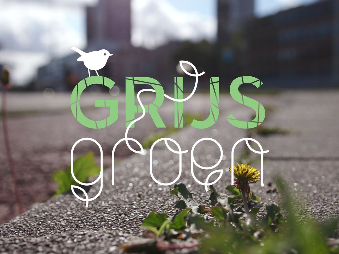 Grijsgroen