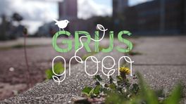 Grijsgroen - Aflevering 22002
