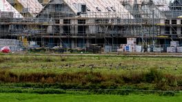 Boeren willen actie tegen nieuwbouw op landbouw- en natuurgrond