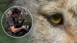 Filmmaker kreeg hausse van bedreigingen na wolvenfilm