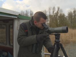 Op pad met boswachter Thomas - Soap rondom de zeearenden