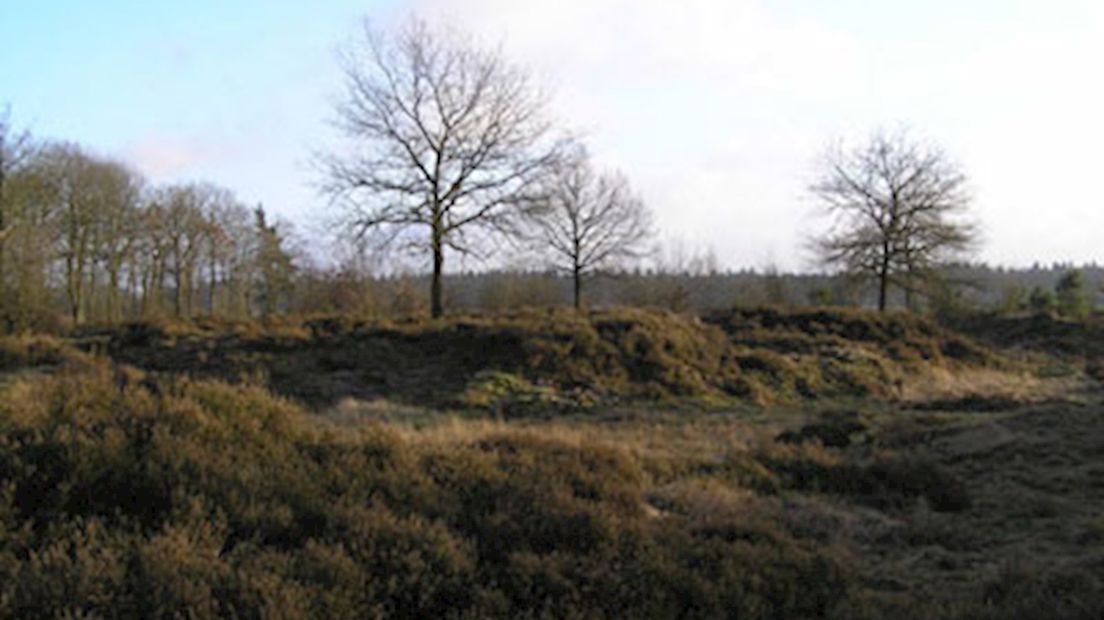 Natuurgebied