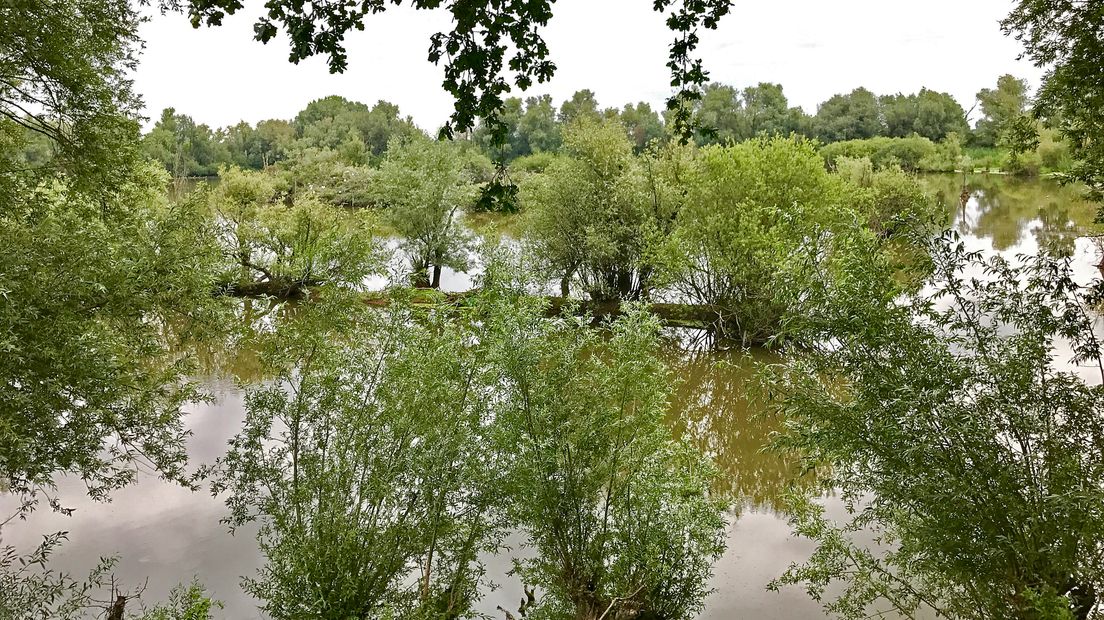 Natuurgebied De Blauwe Kaamer Bron: Laurens Tijink
