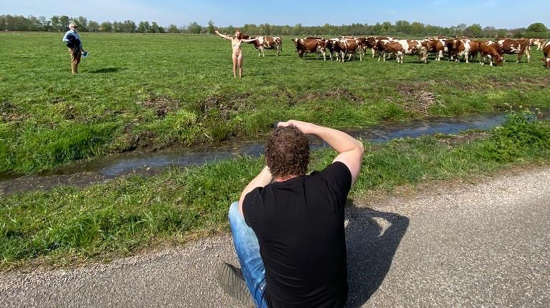 De foto werd gemaakt in een weiland in Haren
