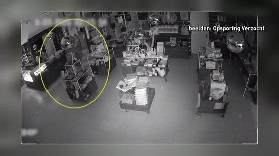 Opgepakte verdachte van diefstal Groningse Van Gogh is beruchte Franse  kunstrover' - RTV Noord
