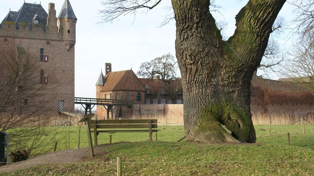 Kasteel Doornenburg, foto Omroep Gelderland
