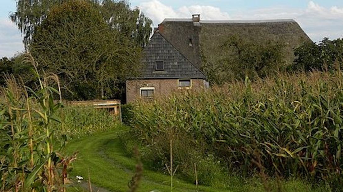 Boerderij
