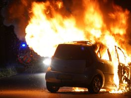 Auto botst tegen boom en vliegt in brand in Assen