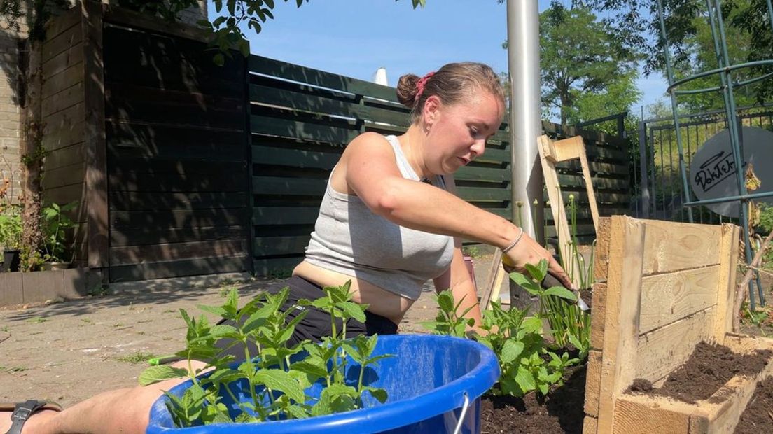 Kijken, ruiken, proeven, voelen en horen, het kan allemaal in deze tuin
