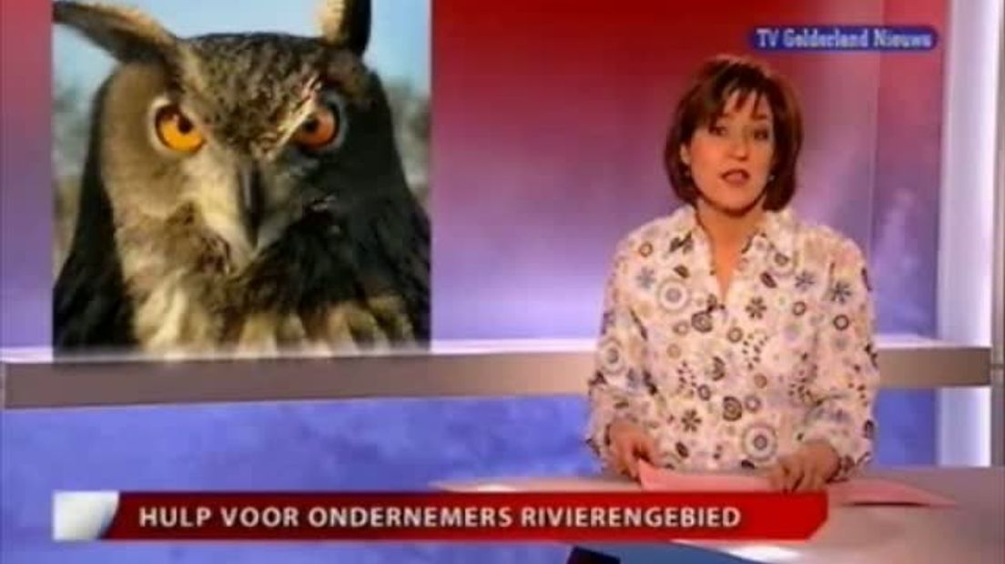 GLD Nieuws - Nieuws