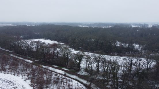 Fijnmazig stikstof meten in Westerwolde: 'In de rest van Nederland wordt heel nieuwsgierig gekeken'
