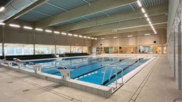 Dit zwembad heeft geen chloor: 'Voor een plasje in het water zijn we niet bang'