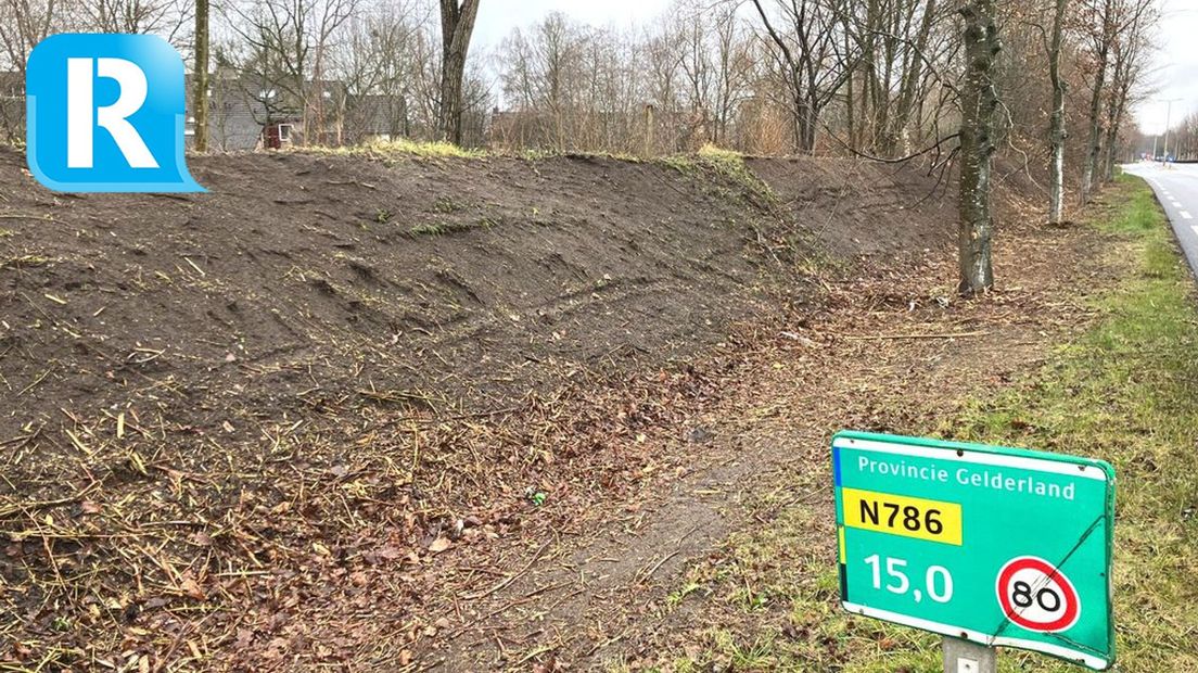 Groene beplanting in Dieren