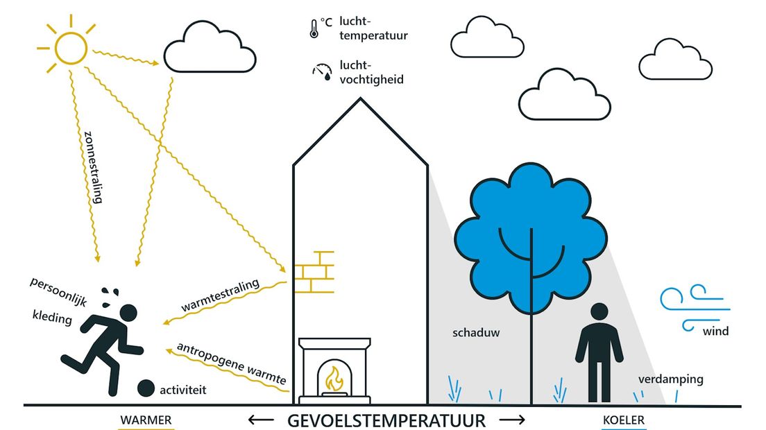 Welke factoren zijn van invloed op de gevoelstemperatuur?