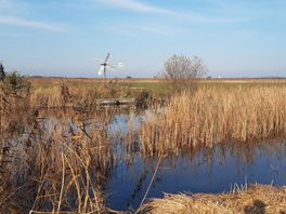 Provinsje Fryslân freget 4,5 miljard fan it Ryk foar oanpak stikstof en ferbettering natuer