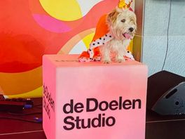 Allemaal kings and queens in Chris Natuurlijk van 22 april