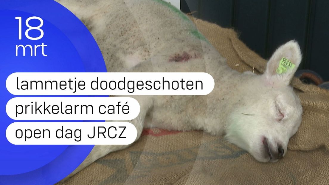 Zeeland Nu