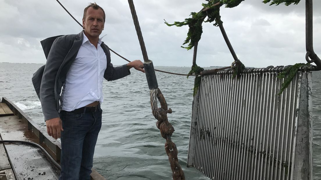 Oesterboorderkor verovert terrein