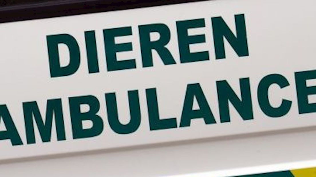 Problemen Dierenbescherming NW-Overijssel