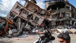 Reddingshonden uit Duiven naar Turkije voor hulp na aardbeving