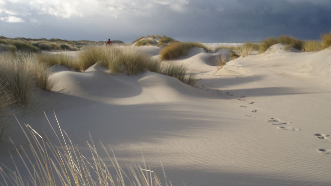 2017 wordt hét jaar van de Zeeuwse kust (video)