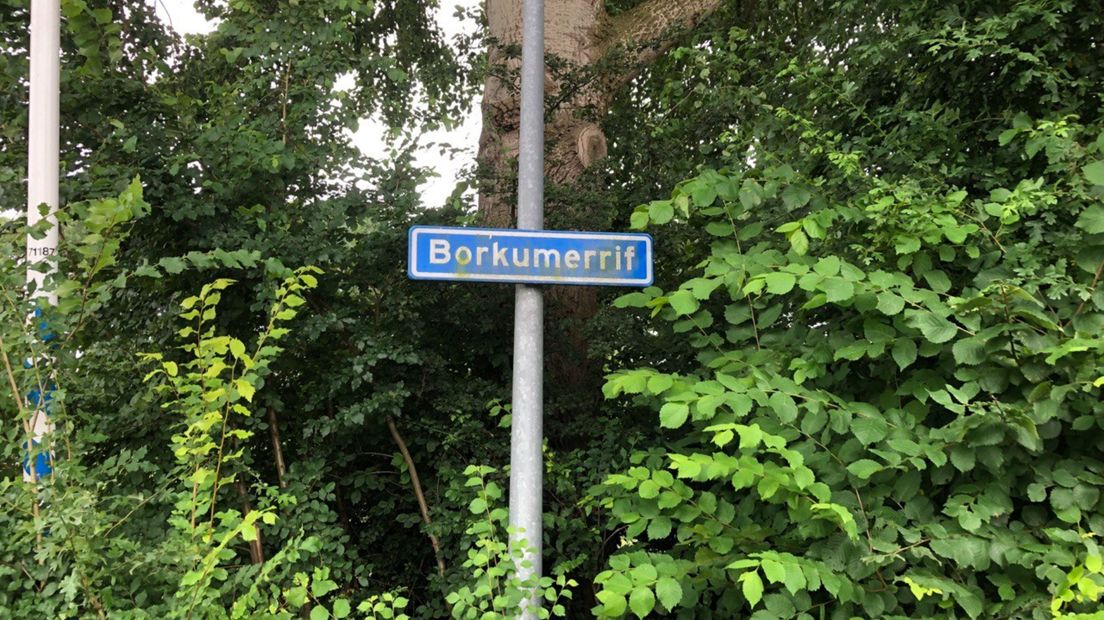 De Borkumerrif is volgens omwonenden de straat waar veel overlast vandaan komt