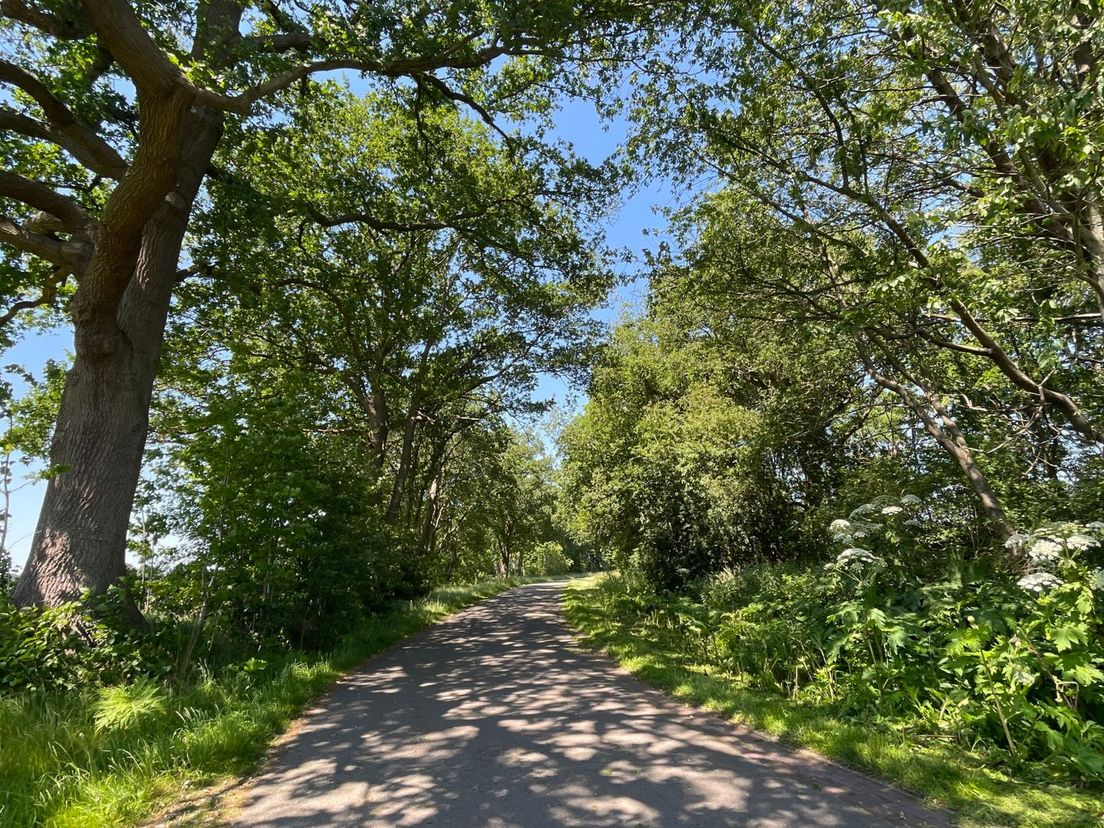 Alternatieve nestlocatie roeken Marsdijk