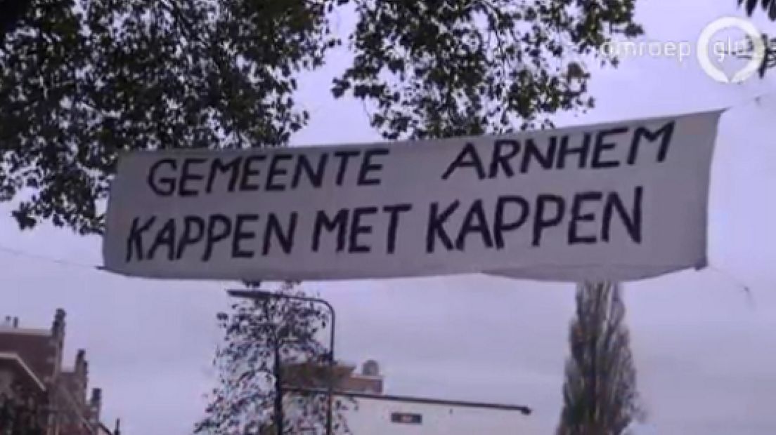 Vragen over omstreden bomenkap Spijkerkwartier