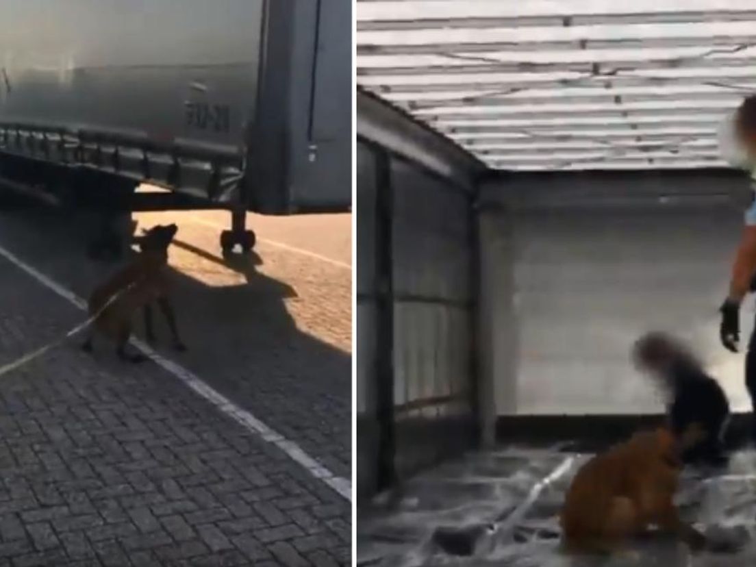 Foto's: Koninklijke Marechaussee