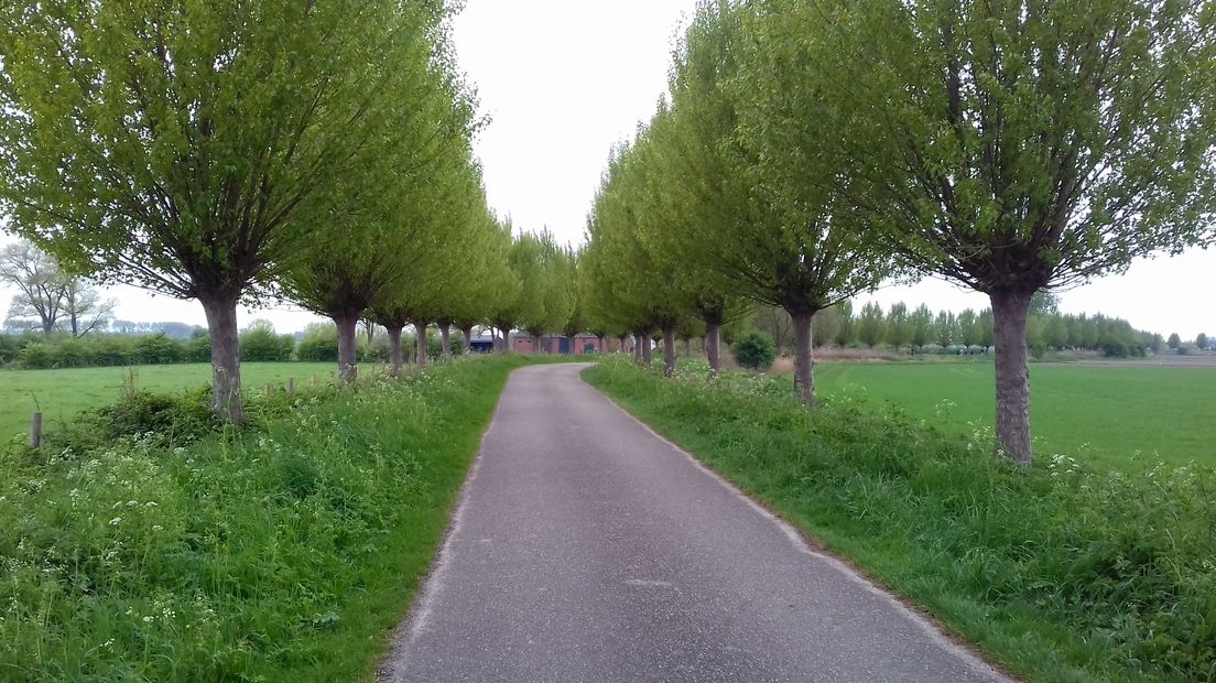 Grijze wolken boven de groene polders bij Breskens