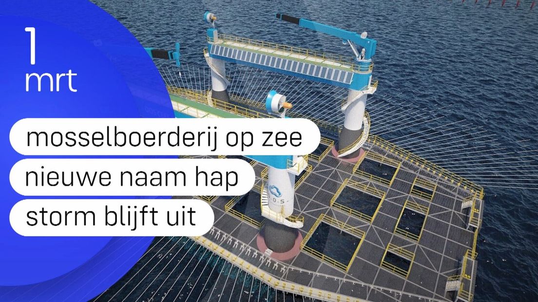 Zeeland Nu