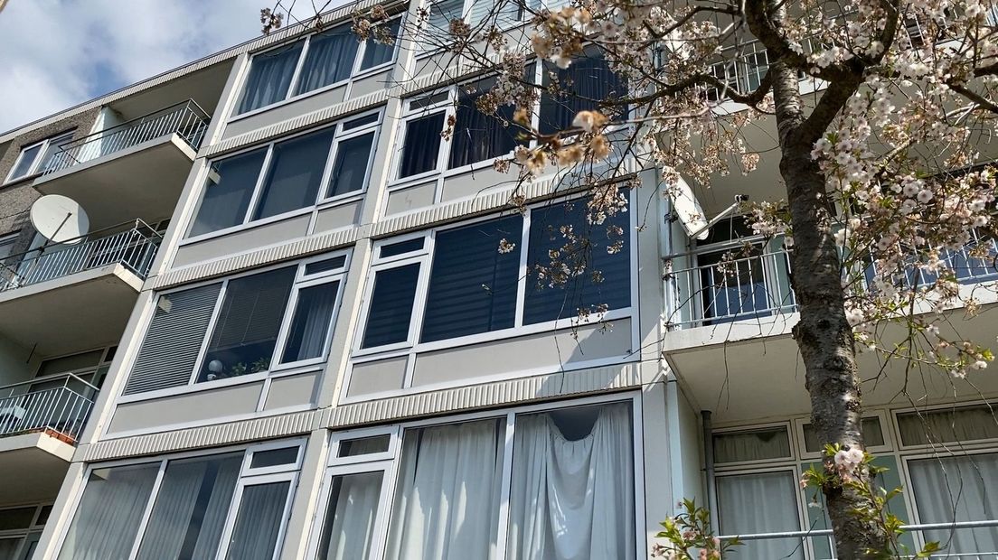 De flat aan de Alexander de Grotelaan
