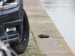 Magneetvisser vist granaat uit water Toussaintkade