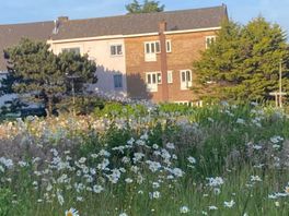 Buurt ongerust over bouwplannen braakliggend stukje Scheveningen: 'Wordt betonnen jungle'