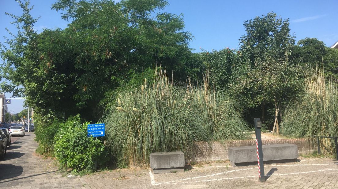 De bunker is verstopt onder de klimop