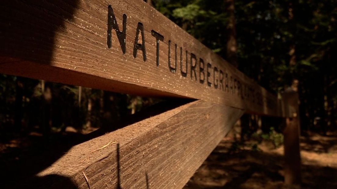 De natuurbegraafplaats.