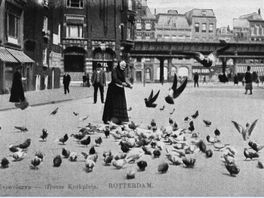 Vergeten Verhalen: het duivenvrouwtje van Rotterdam